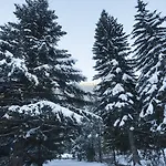 툭 블랑크 3*